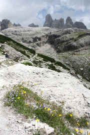 Rifugio Brentei dal sentiero Bogani: sullo sfondo la catena degli Sfulmini, Torre di Brenta e Cima Armi
